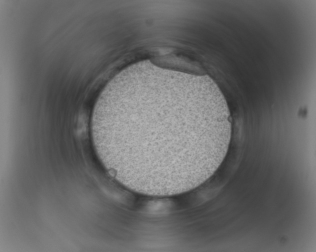 X0000113180274200910161339