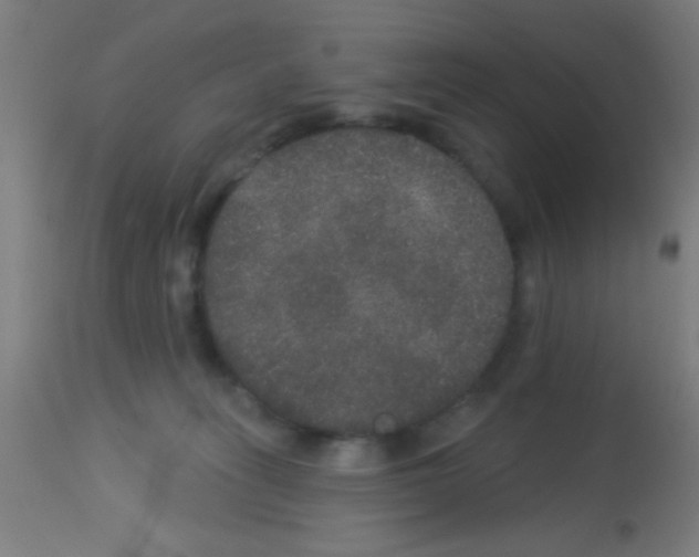 X0000113180275200910161339