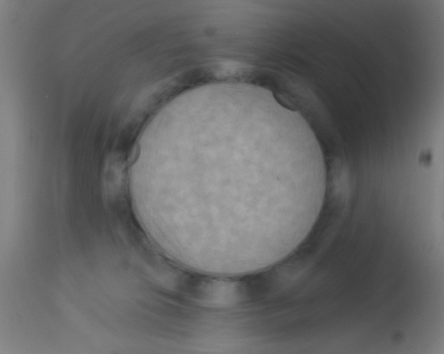 X0000113180276200910161339