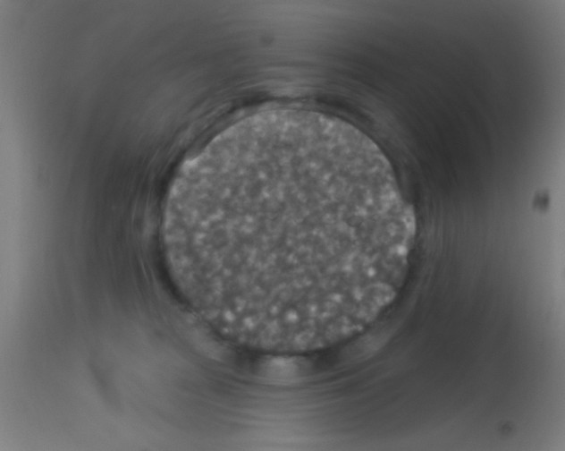 X0000113180277200910161339