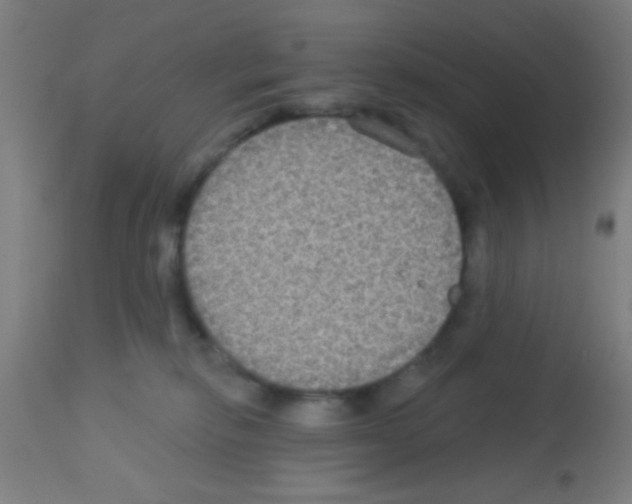 X0000113180278200910161339