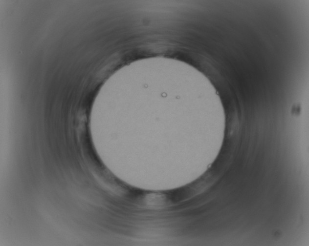 X0000113180279200910161339
