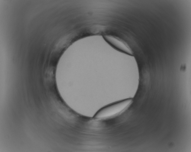 X0000113180280200910161339