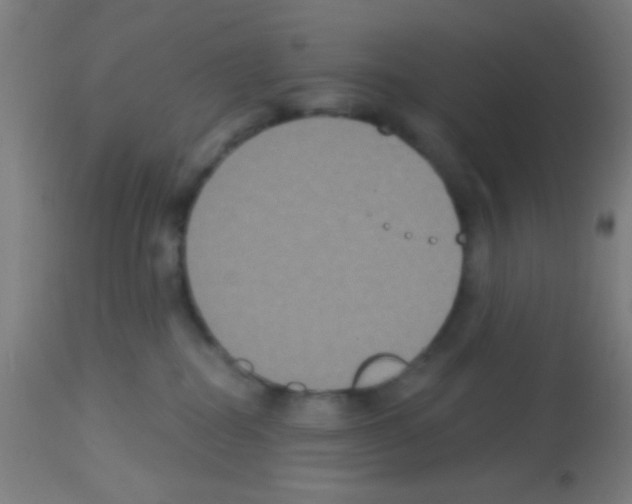 X0000113180282200910161339