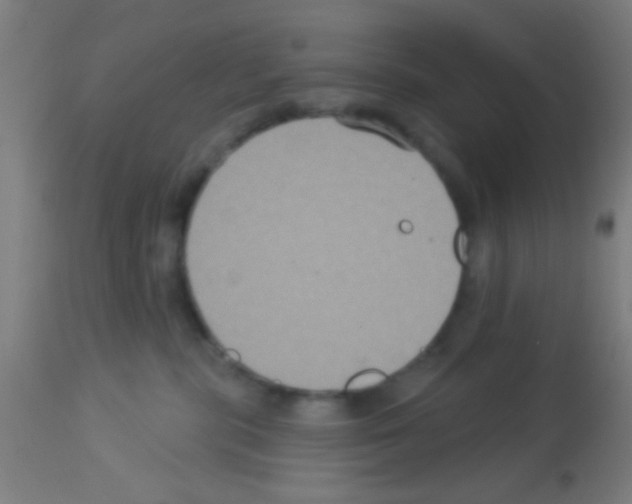 X0000113180283200910161339