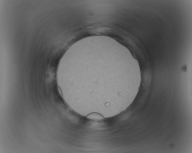 X0000113180284200910161339