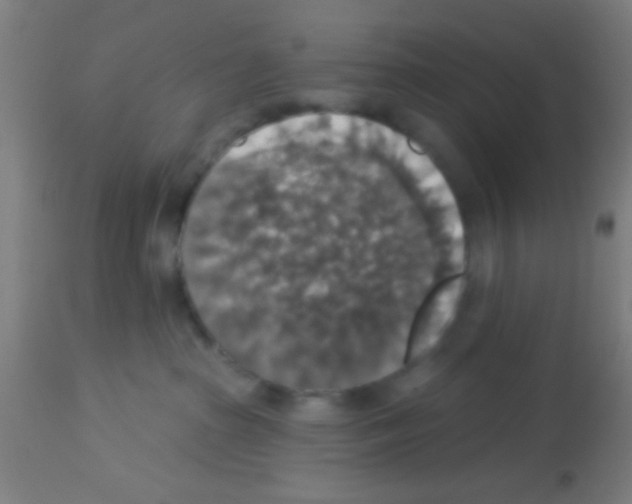 X0000113180285200910161339