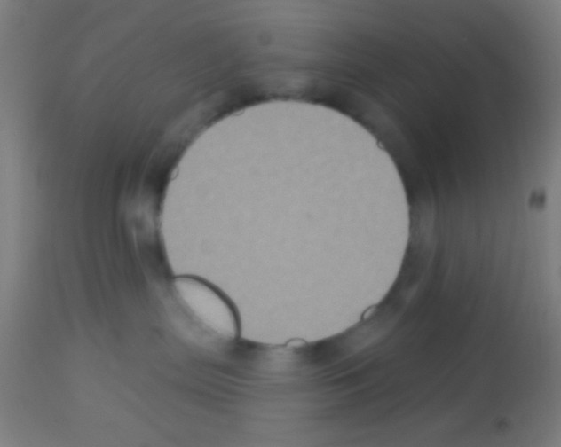 X0000113180287200910161339