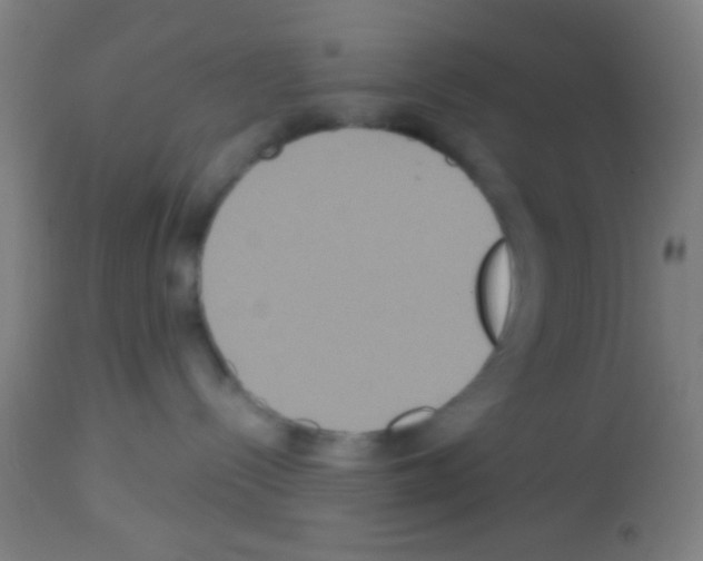 X0000113180288200910161339