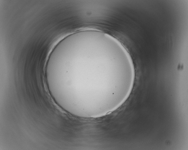 X0000113180289200910161338