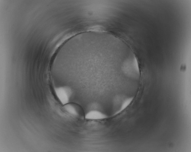 X0000113180290200910161338