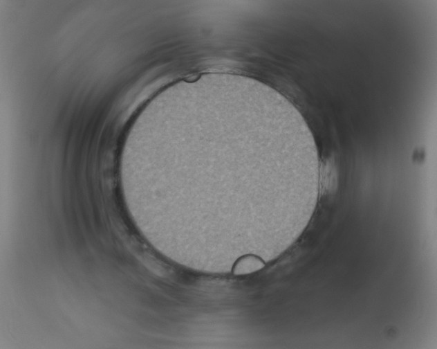 X0000113180291200910161338