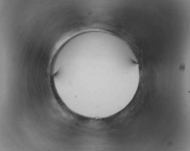 X0000113180292200910161338