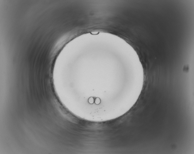 X0000113180293200910161338