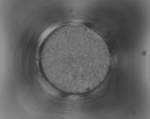 X0000113180294200910161338