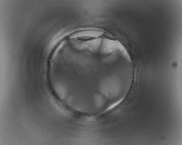 X0000113180295200910161338