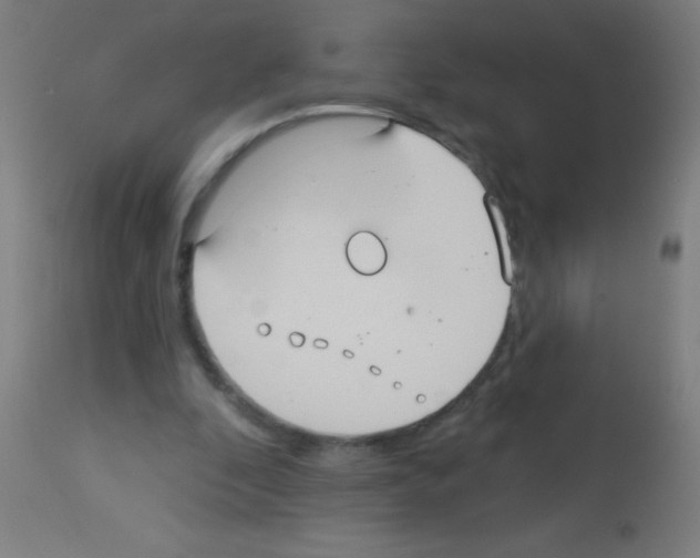 X0000113180296200910161338
