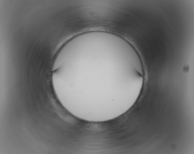 X0000113180297200910161338