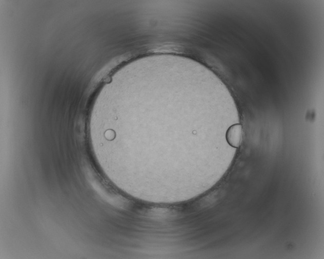 X0000113180298200910161338