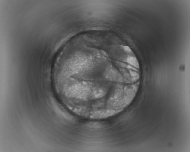 X0000113180299200910161338