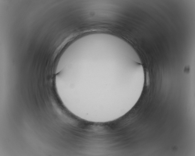 X0000113180300200910161338