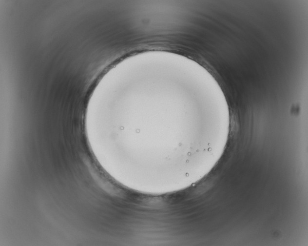 X0000113180301200910161338