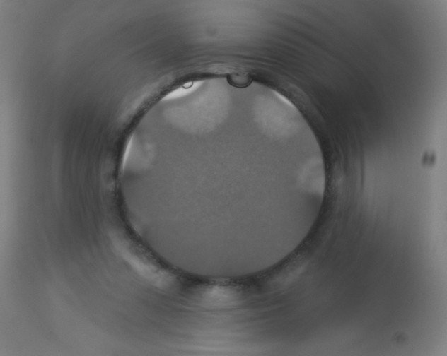 X0000113180303200910161338