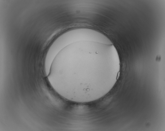 X0000113180304200910161338