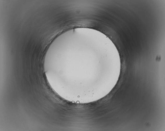 X0000113180305200910161338