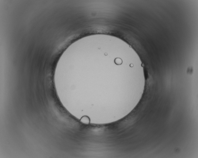 X0000113180306200910161338
