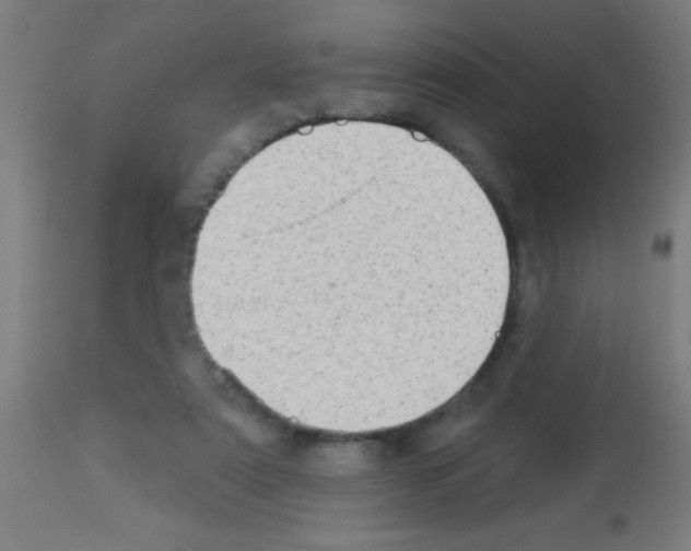 X0000113180307200910161338