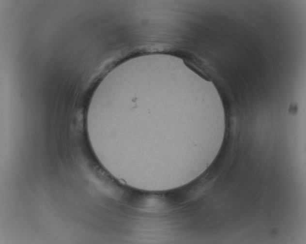 X0000113180308200910161338
