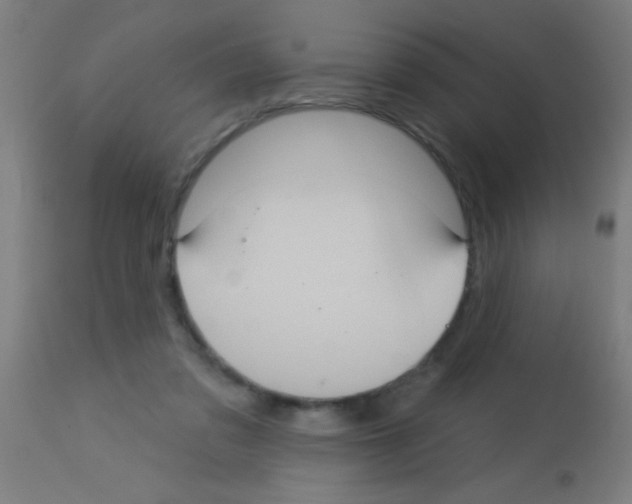 X0000113180309200910161338