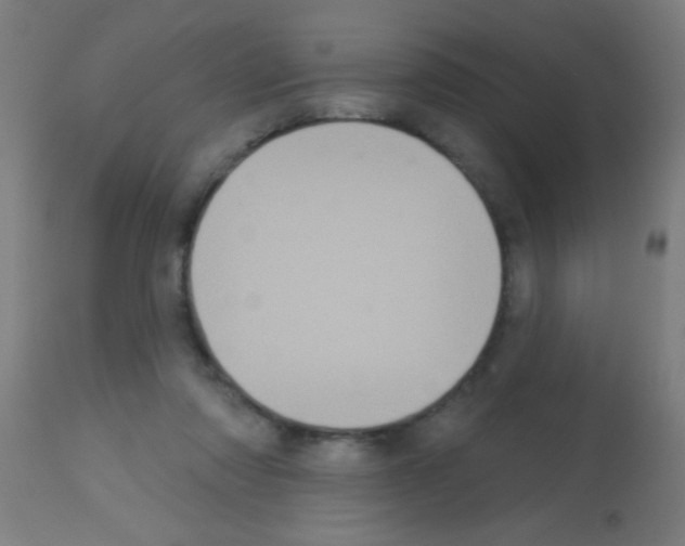 X0000113180310200910161338