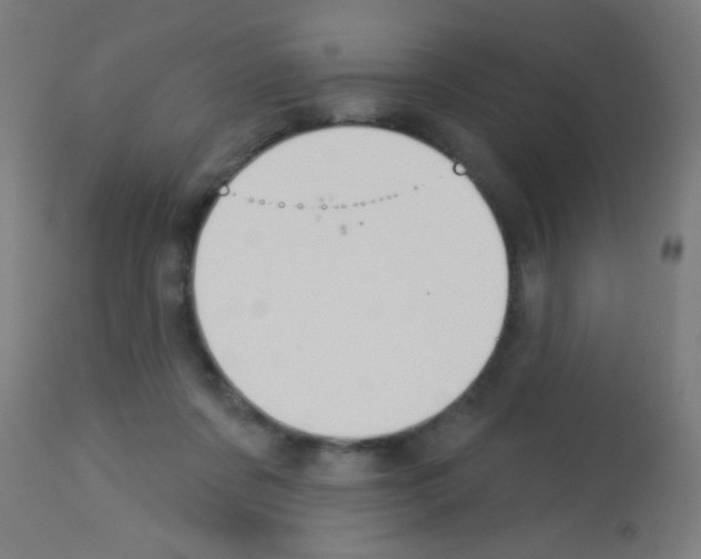 X0000113180311200910161338