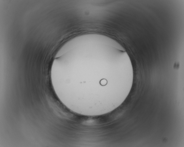 X0000113180312200910161338