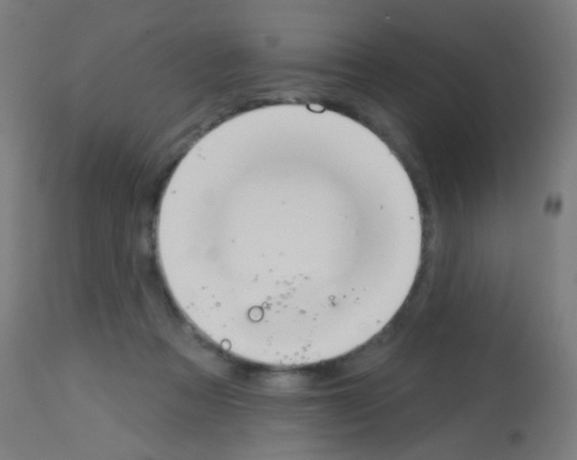 X0000113180313200910161338