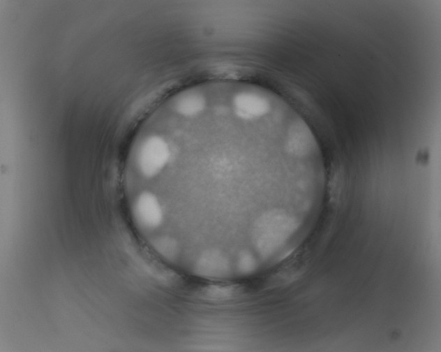 X0000113180314200910161338