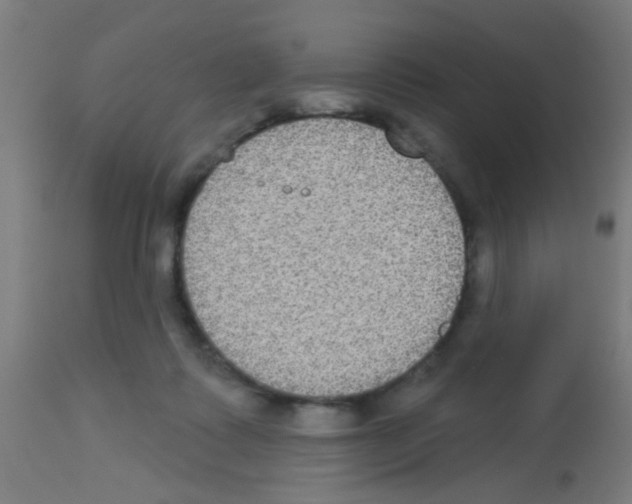 X0000113180315200910161338