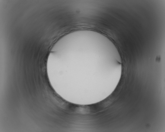 X0000113180317200910161338