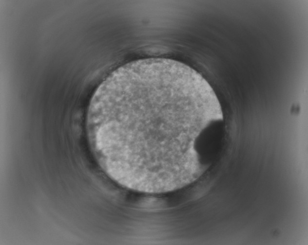 X0000113180319200910161338