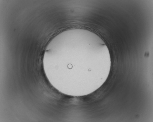 X0000113180320200910161338
