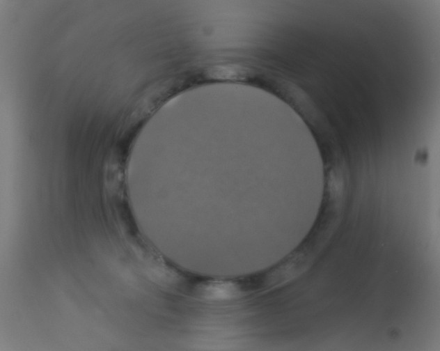 X0000113180322200910161338