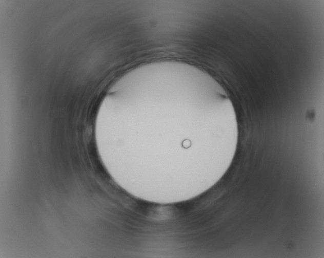 X0000113180324200910161338