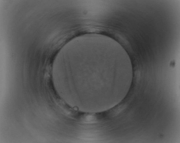X0000113180325200910161338