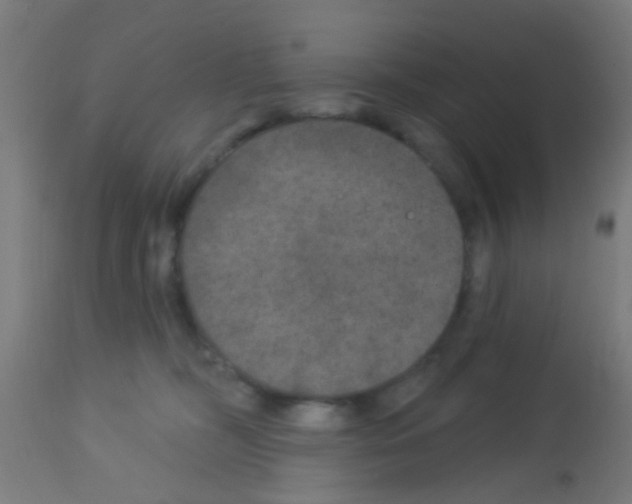 X0000113180326200910161338