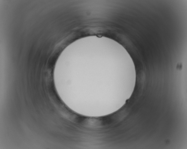 X0000113180327200910161338