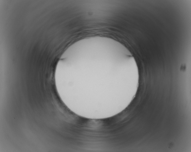 X0000113180328200910161338