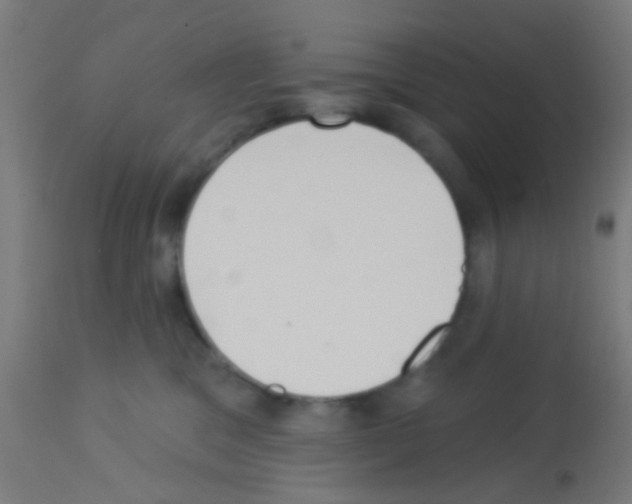 X0000113180329200910161338