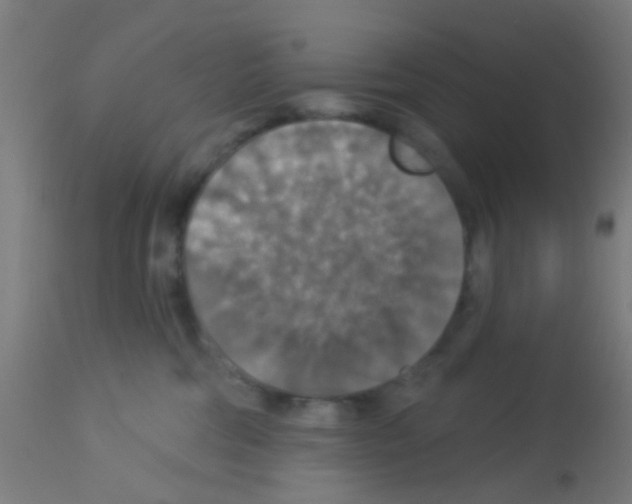 X0000113180330200910161338